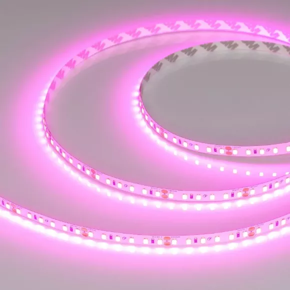 Светодиодная лента Arlight RT-A120-8mm 24V Magenta (9.6 W/m, IP20, 2835, 5m) 043381 Светодиодная лента Arlight RT-A120-8mm 24V Magenta (9.6 W/m, IP20, 2835, 5m) 043381