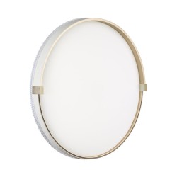 Настенно-потолочный светильник Sonex Pale Olidi White 7646/DLN