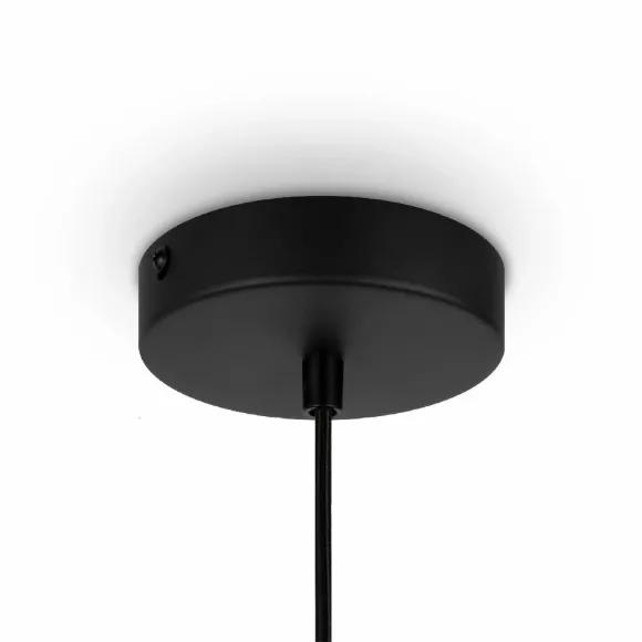 Подвесной светильник Maytoni Roots MOD193PL-01W Подвесной светильник Maytoni Roots MOD193PL-01W