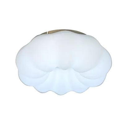 Потолочный светильник Zortes Soft ZRS.1118.2