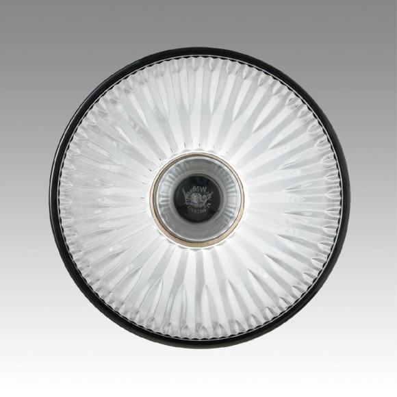 Подвесной светильник Lumion Suspentioni Natana 8053/1A