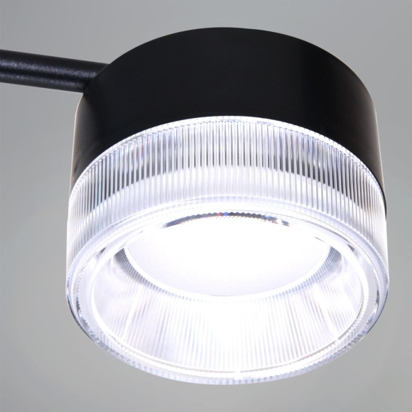 Потолочная люстра Reluce 19490-0.4-6+6 Black