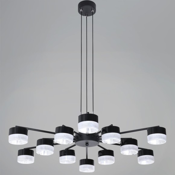 Потолочная люстра Reluce 19490-0.4-6+6 Black