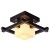 Потолочный светильник Arte Lamp WOODS A8252PL-1CK