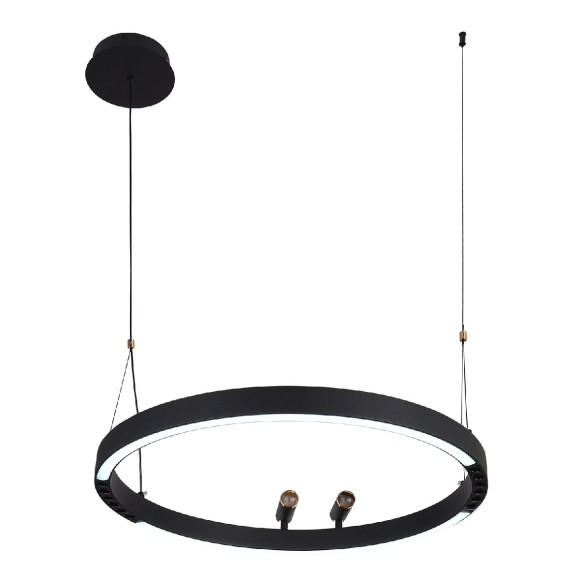 Подвесная светодиодная люстра с пультом управления F-Promo Slinga 4474-1P