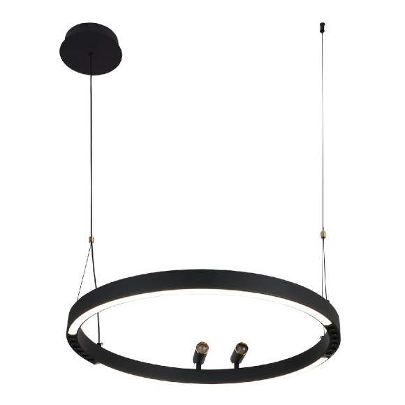 Подвесная светодиодная люстра с пультом управления F-Promo Slinga 4474-1P