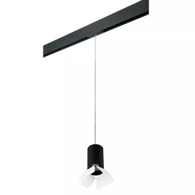 Трековый светильник Lightstar Rullo PRORP437436 (214437+595857+202436)