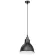Подвесной светильник Lightstar Loft 765017
