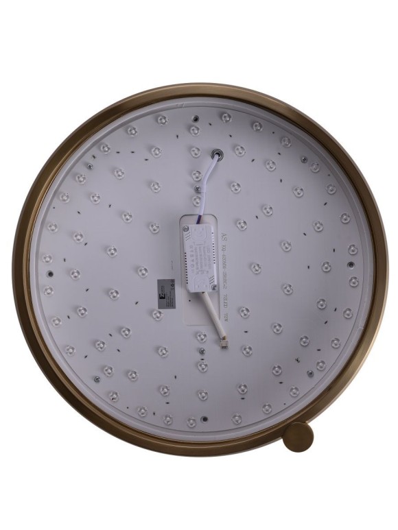 Потолочный светильник Zortes Gimpel ZRS.1209.17