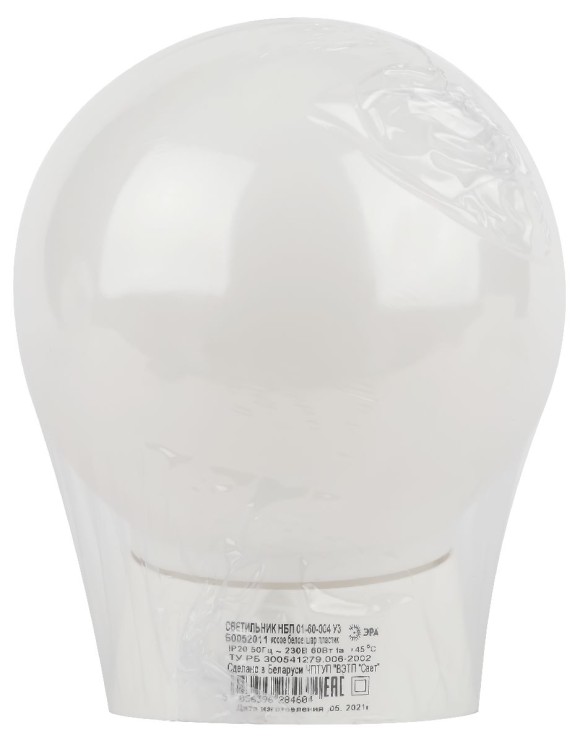 Настенно-потолочный светильник Эра НБП 01-60-004 Б0052011