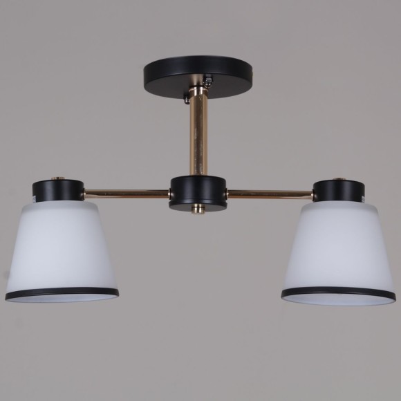 Потолочный светильник Reluce 30560-0.3-02 BK+FG