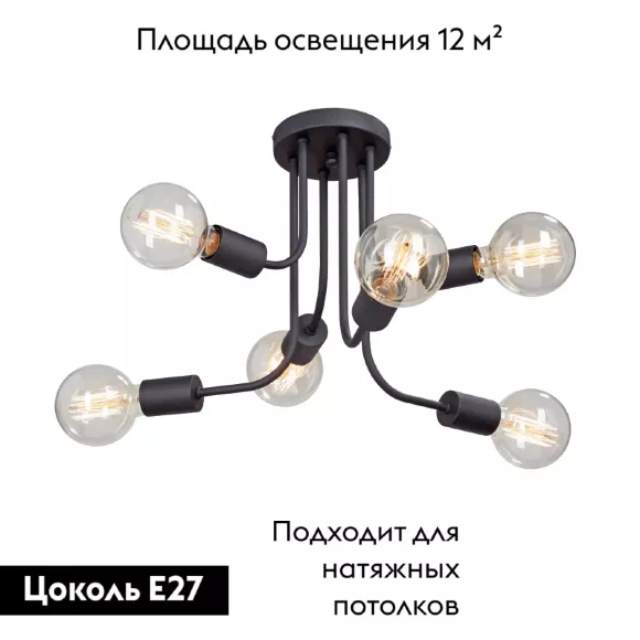 Потолочная люстра Vitaluce V4960-1/6PL, Черный, Теплый белый, Металл