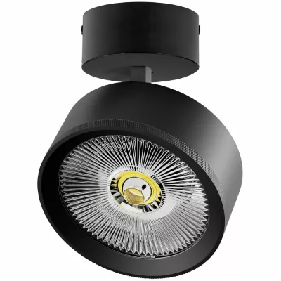 Накладной светильник Alta Pro Lightstar A5737SO