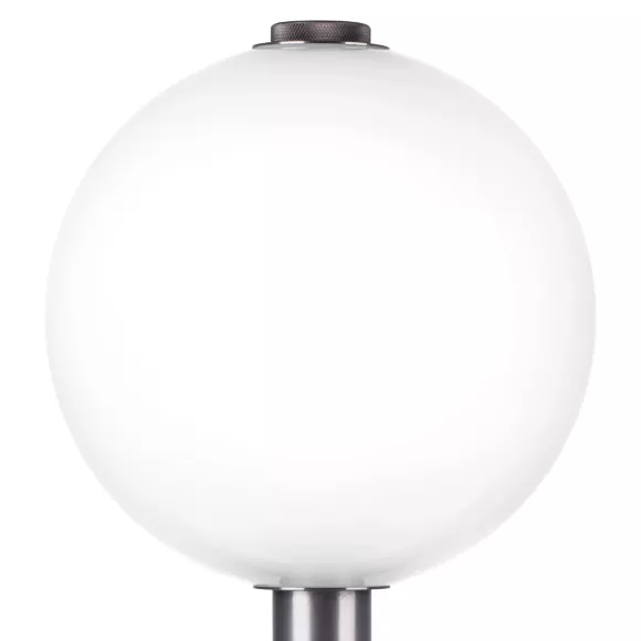 Настольная лампа Lightstar Colore 805916, Кофейный, Белый, Коричневый Настольная лампа Lightstar Colore 805916, Кофейный, Белый, Коричневый