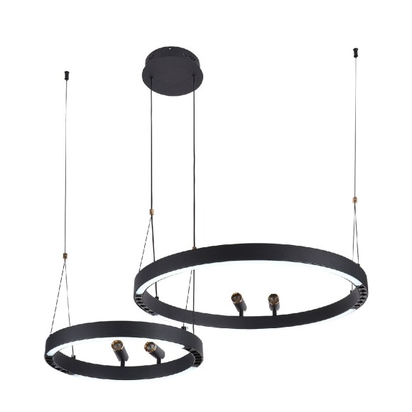 Подвесная светодиодная люстра с пультом управления F-Promo Slinga 4474-2P