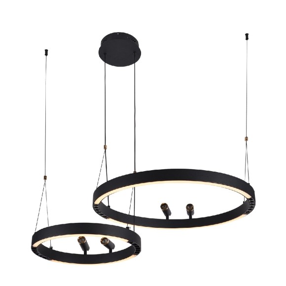 Подвесная светодиодная люстра с пультом управления F-Promo Slinga 4474-2P