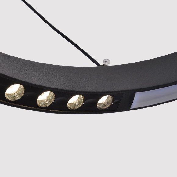 Подвесная светодиодная люстра с пультом управления F-Promo Slinga 4474-2P