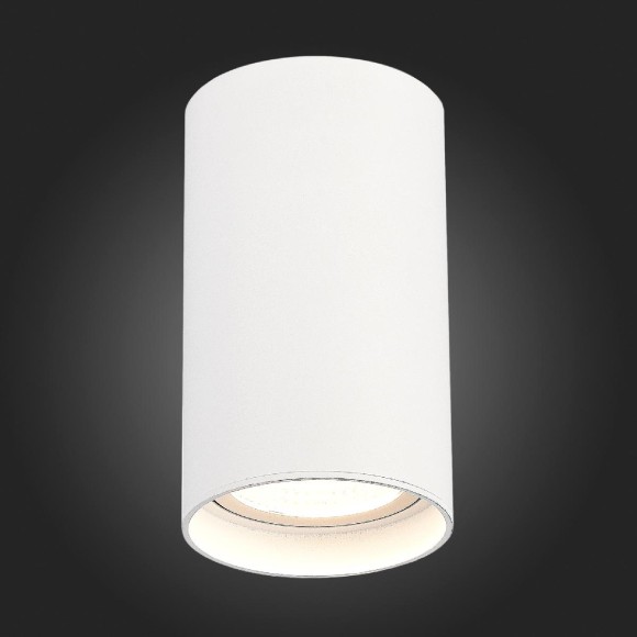 Накладной светильник ST Luce ST157.542.20