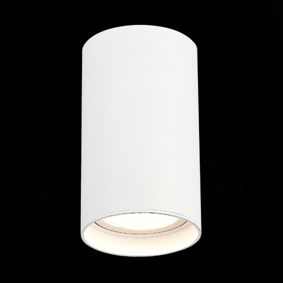 Накладной светильник ST Luce ST157.542.20