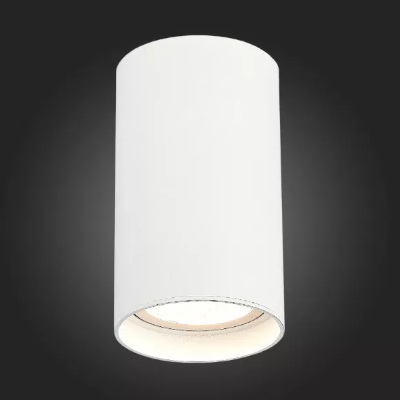 Накладной светильник ST Luce ST157.542.20 Накладной светильник ST Luce ST157.542.20