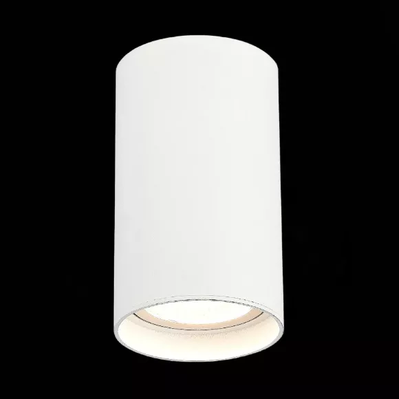 Накладной светильник ST Luce ST157.542.20 Накладной светильник ST Luce ST157.542.20