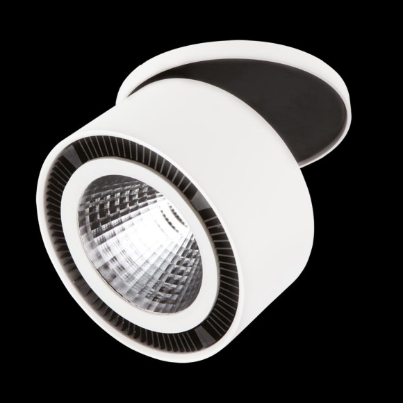 Светодиодный спот Lightstar FORTE INCA 213806, LED, 15W, белый