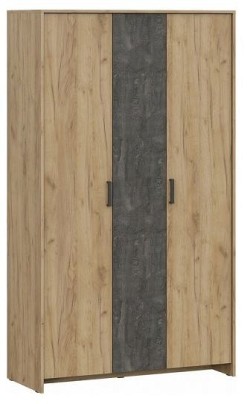 Шкаф платяной Лофт ARN_00-00029193