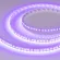 Светодиодная лента Arlight RT-A120-8mm 24V Violet (9.6 W/m, IP20, 2835, 5m) 043384