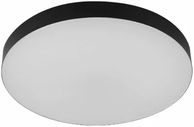 Потолочный светильник Эра Relict 48 Pult SPB-6-60-RC BK Б0059497