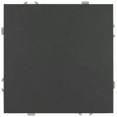 Кнопка Эра Galaxy 15-1109-06 10АХ-250В IP20 графит Б0070763