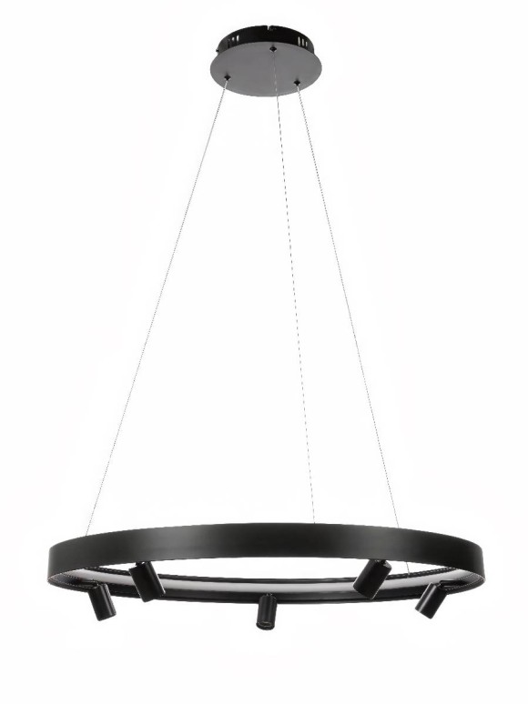 Подвесная светодиодная люстра Myfar James MR2201-1PL