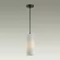 Подвесной светильник Odeon Light Pimpa 5017/1, Черный, Белый, Металл