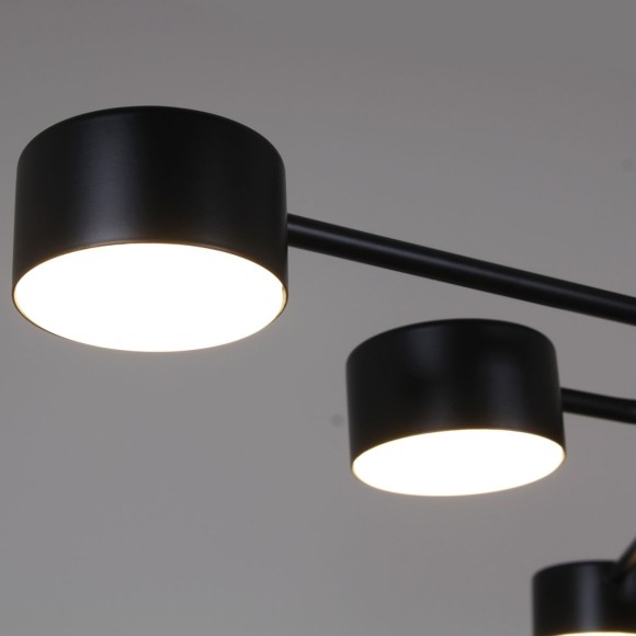 Люстра на штанге Reluce 03708-0.3-10 BK GX53