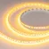 Светодиодная лента Arlight RT-A120-8mm 24V Gold (9.6 W/m, IP20, 2835, 5m) 043385