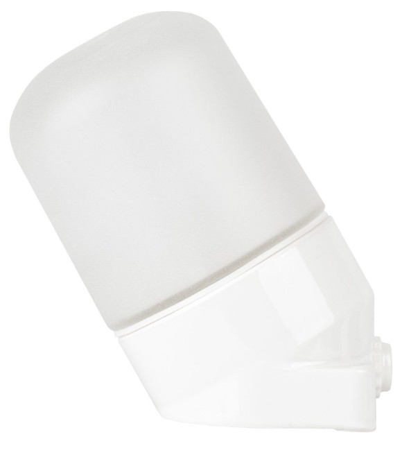 Настенно-потолочный светильник Эра НББ 02-60-002 Б0064018