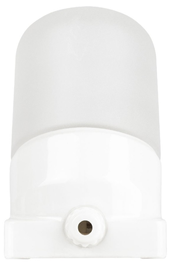 Настенно-потолочный светильник Эра НББ 02-60-002 Б0064018