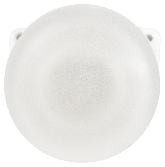 Настенно-потолочный светильник Эра НББ 02-60-002 Б0064018