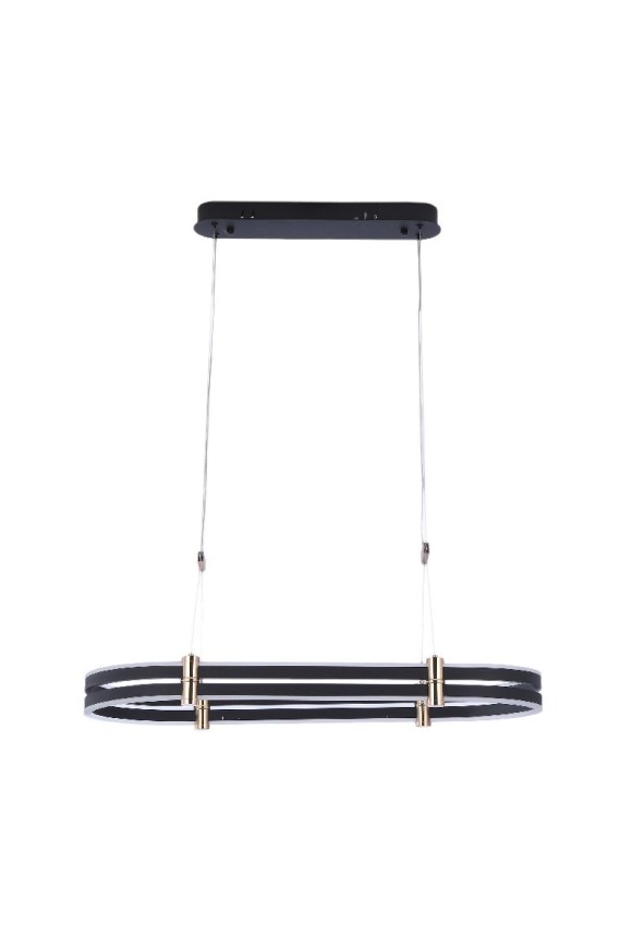 Подвесная светодиодная люстра с пультом управления Zortes Duble-R ZRS.30505.92