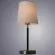 Настольная лампа Arte Lamp RODOS A2589LT-1SS