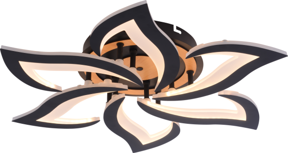 Потолочный светильник Rivoli Cassandra 6194-733 Б0070141