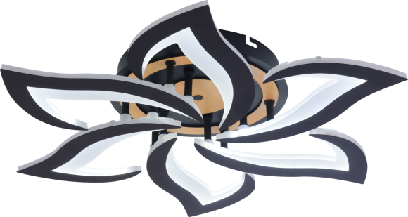 Потолочный светильник Rivoli Cassandra 6194-733 Б0070141