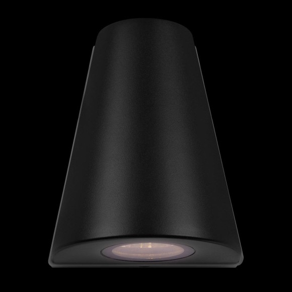 Уличный настенный светильник Loft IT Eterno 100004/2