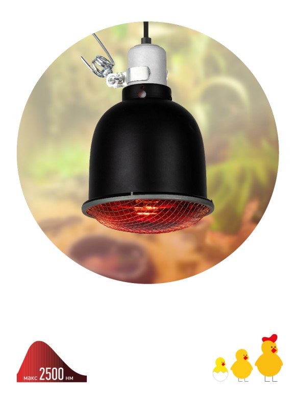 Светильник для террариумов и брудеров Эра FITO-E27-SHADE Б0053286