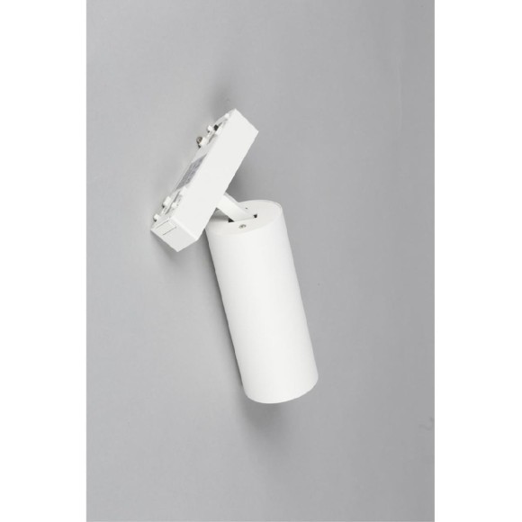 Трековый магнитный светильник Aployt Magnetic track 48 APL.0114.10.18