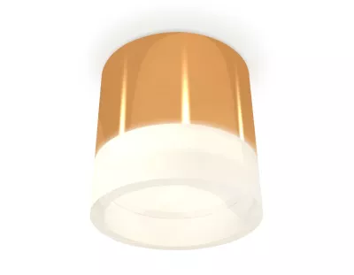 Потолочный светильник Ambrella Light Techno Spot XS8121010 (C8121, N8401)