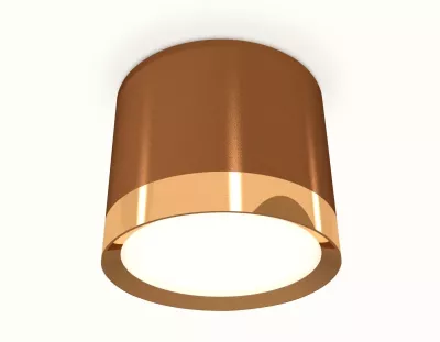 Потолочный светильник Ambrella Light Techno Spot XS8117001 (C8117, N8124)