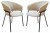 Набор из 2 стульев Bodo HSBI_DC-24116_beige_2
