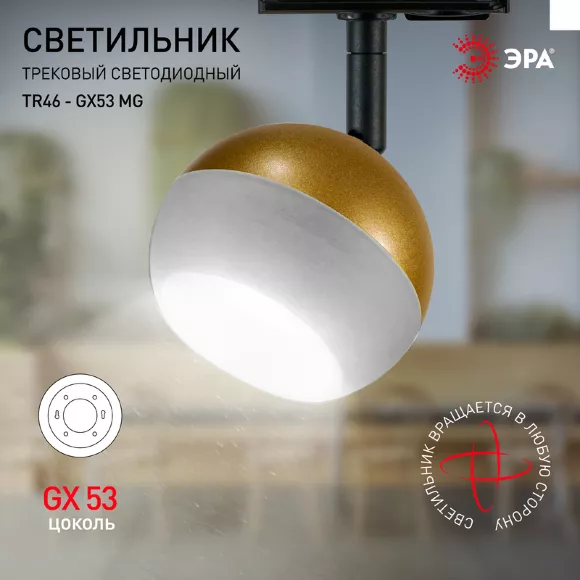 Трековый светильник Эра TR46 - GX53 MG Б0054154, Модерн, Белый Трековый светильник Эра TR46 - GX53 MG Б0054154, Модерн, Белый