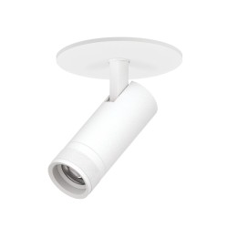 Встраиваемый светильник 20-55G с адаптером Lightstar Canno Pro C4126RS