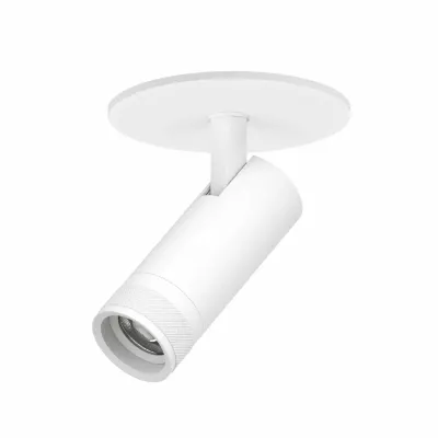 Встраиваемый светильник 20-55G с адаптером Lightstar Canno Pro C4126RS